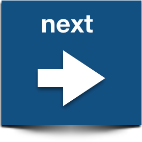 next online dutch class